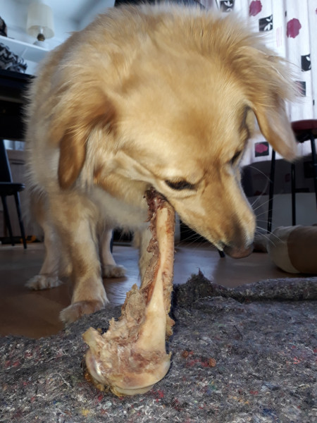 2021-04-08_-16.27.02_Emily_4