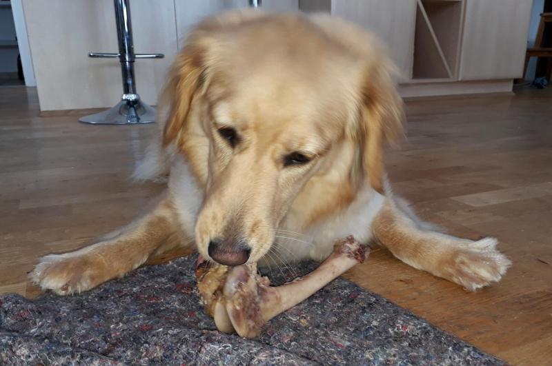 2021-04-08_-16.32.32_Emily_5