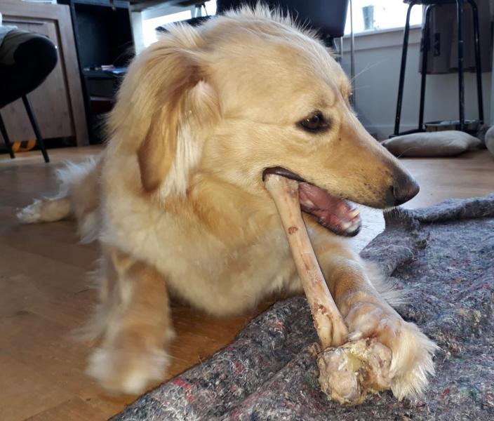 2021-04-08_-16.40.25_Emily_6