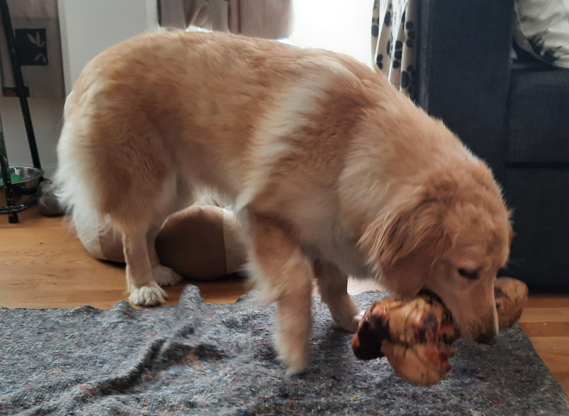 2021-04-09_-17.19.10_Emily_7