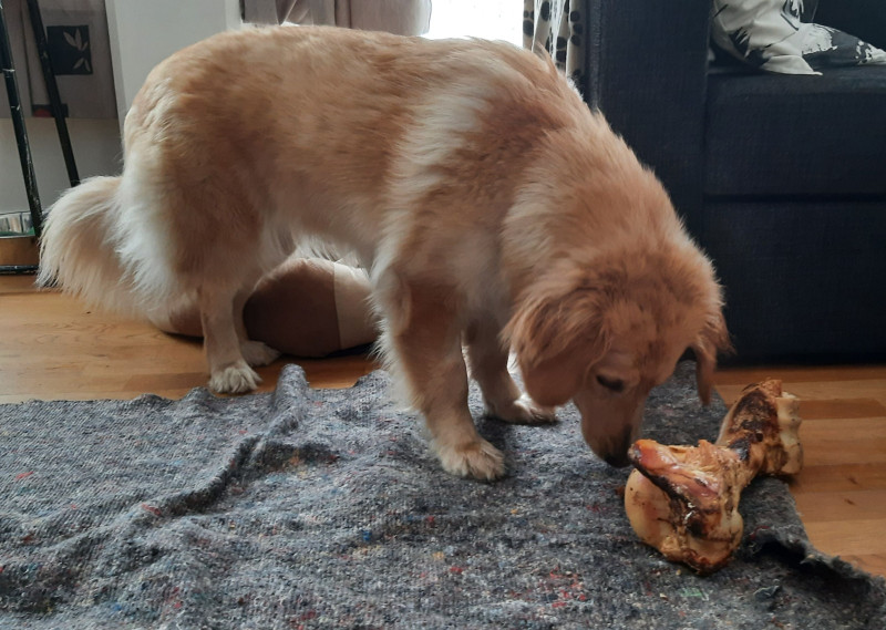 2021-04-09_-17.19.13_Emily_8