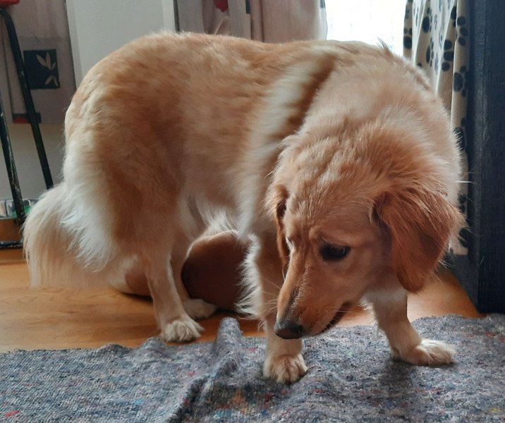 2021-04-09_-17.19.15_Emily_9