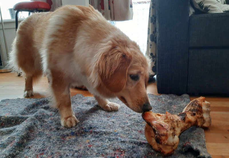 2021-04-09_-17.19.30_Emily_10