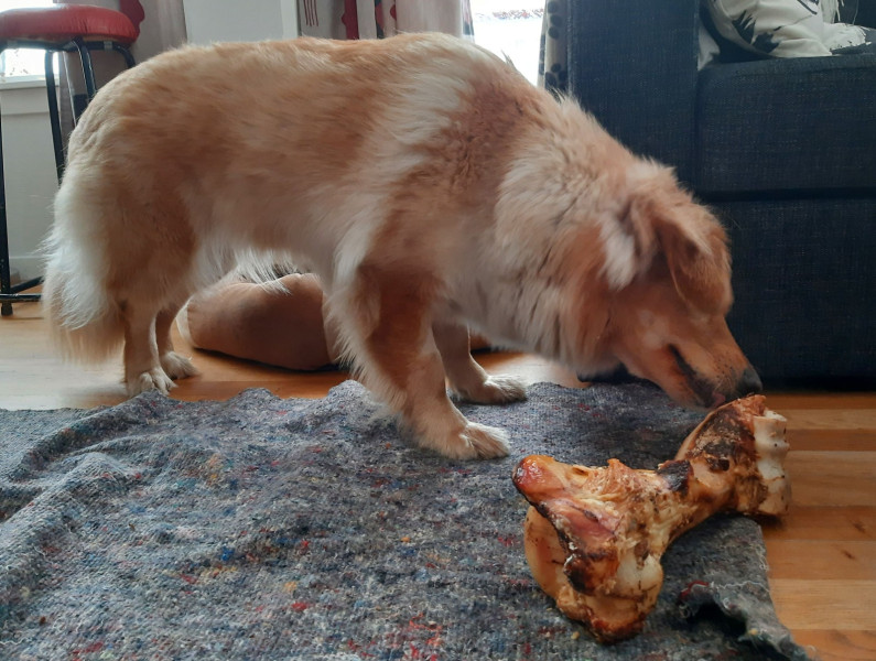 2021-04-09_-17.19.35_Emily_11