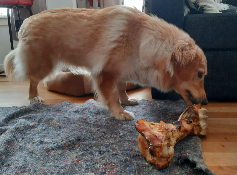 2021-04-09_-17.19.37_Emily_12