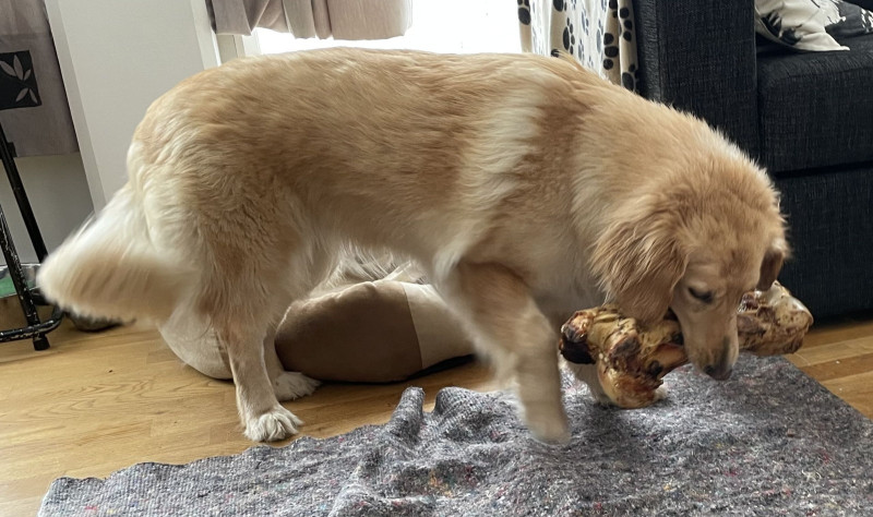 2021-04-09_-17.25.51_Emily_17