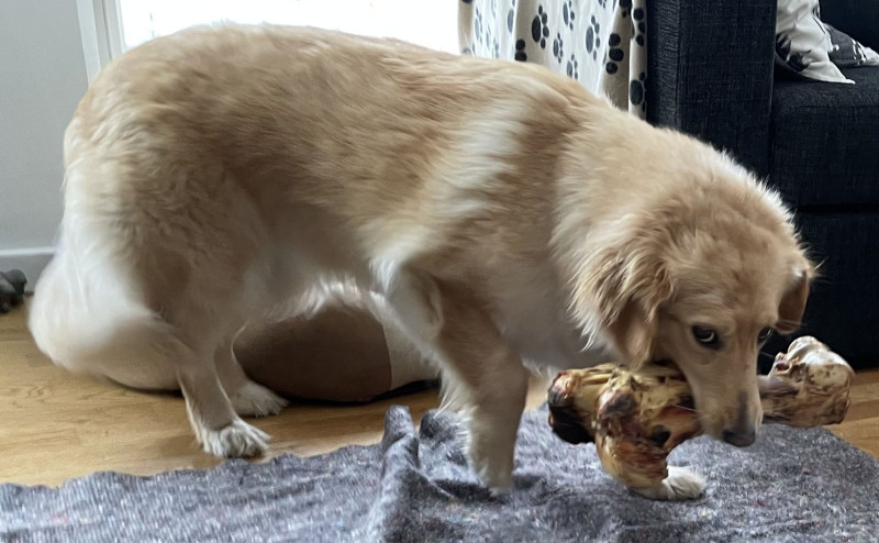 2021-04-09_-17.25.58_Emily_15