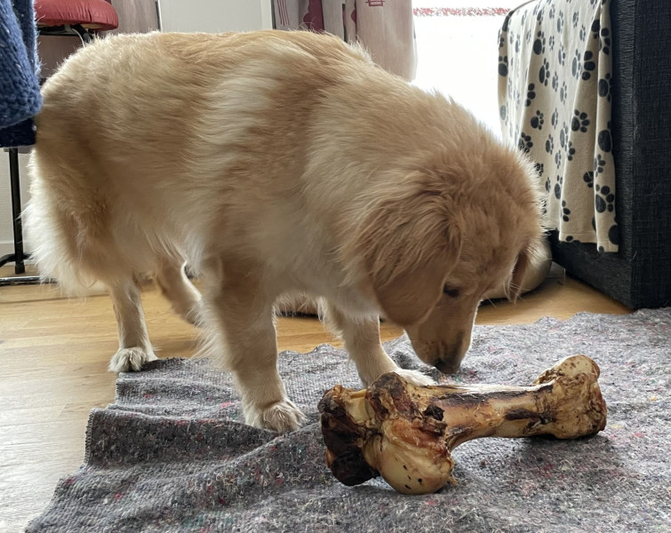 2021-04-09_-17.26.04_Emily_16