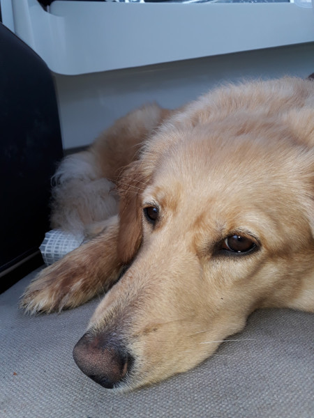 2021-04-10_-13.03.10_Emily_13