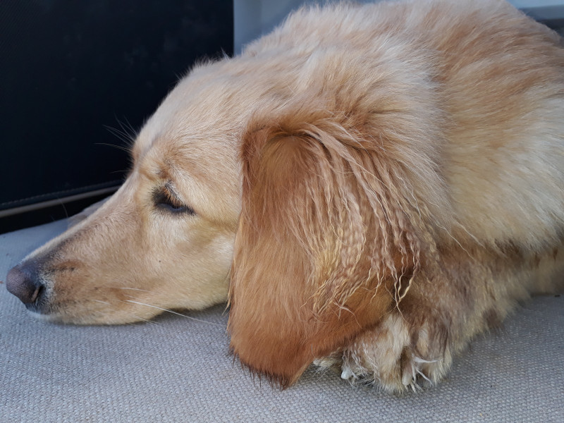 2021-04-10_-13.03.27_Emily_14