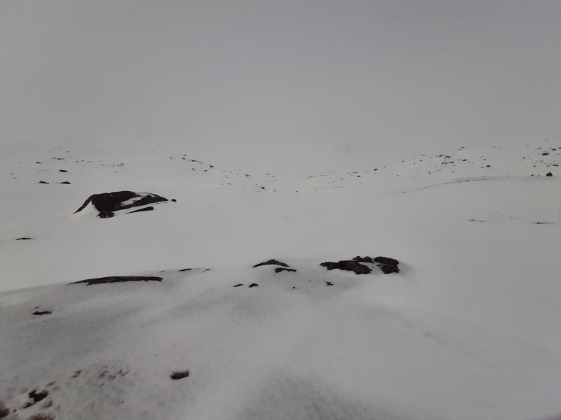 2021-04-10_-17.09.51__7