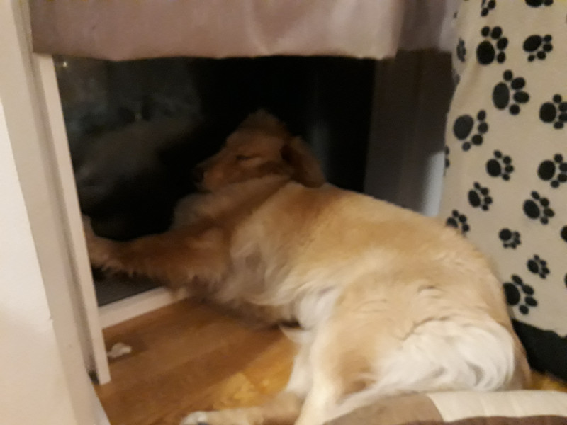 2021-04-17_-23.18.13_Emily