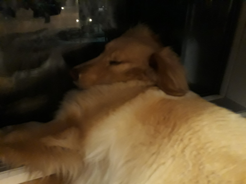 2021-04-17_-23.18.46_Emily_1