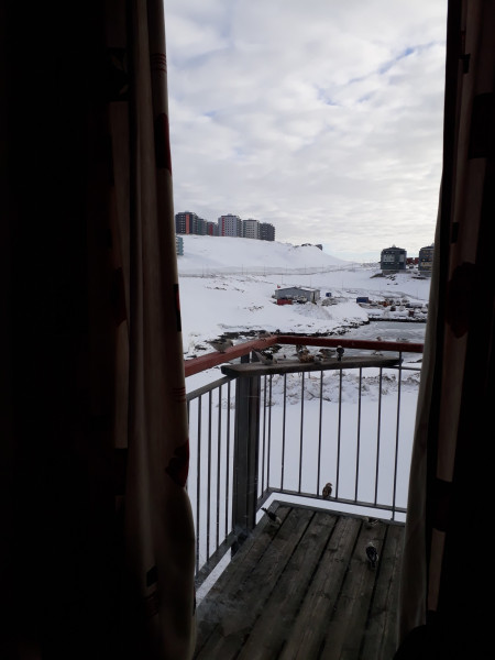 2021-04-20_-18.12.44_Snespurv_-Udsigt