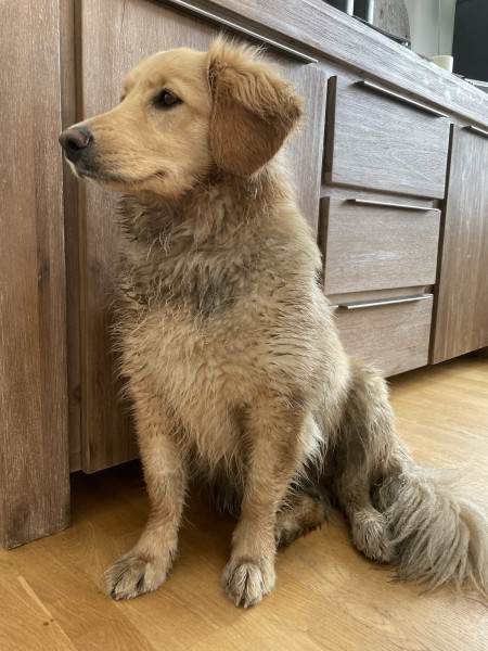 2021-04-30_-09.31.42_Emily_2