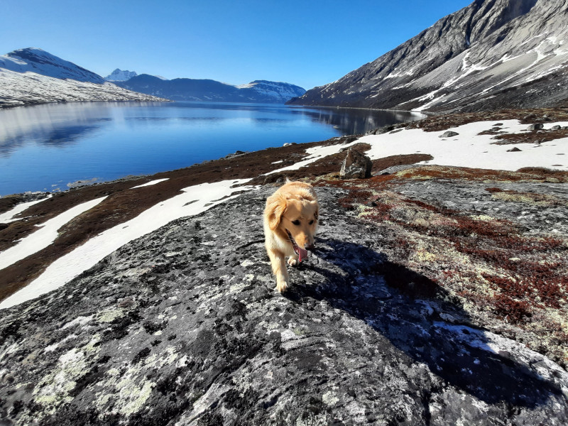 2021-05-28-1827_Emily_2