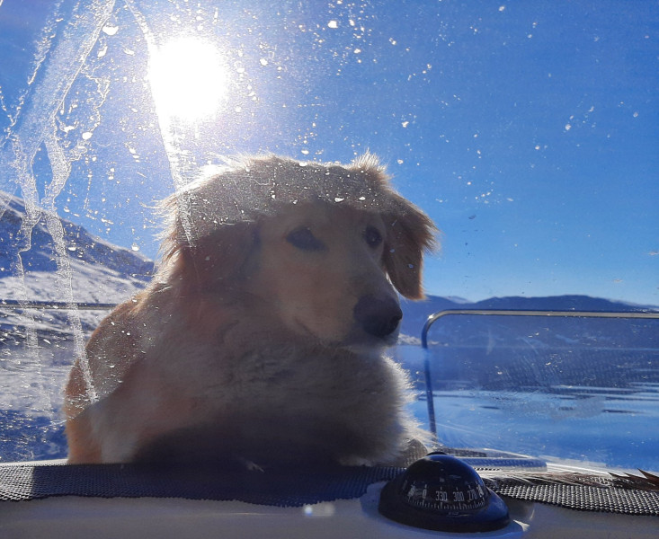 2021-05-28-1849_Emily