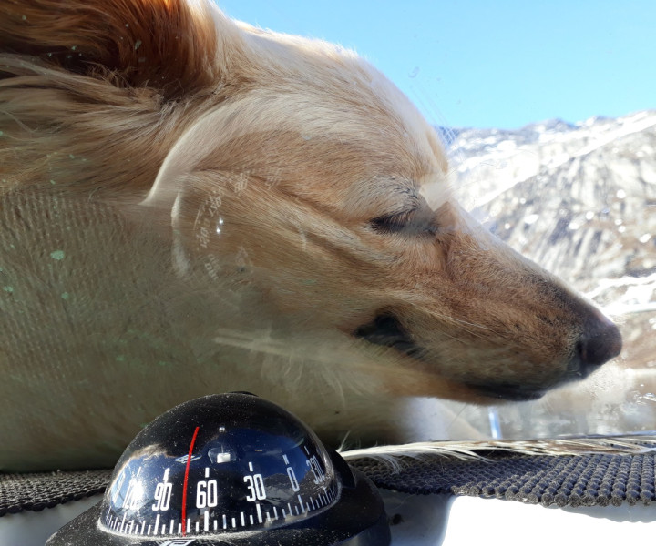 2021-05-28-1939_Emily