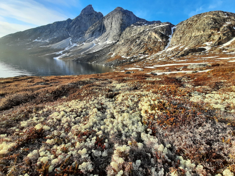 2021-05-28-2129_Rensdyrlav_2