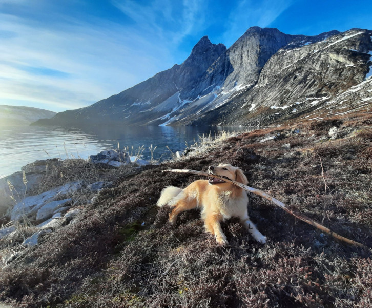 2021-05-28-2136_Bedste_2-Emily