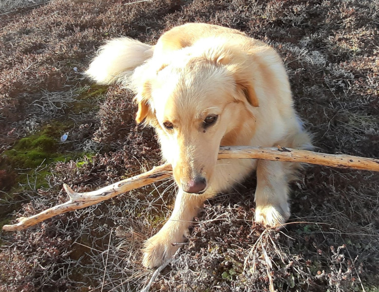 2021-05-28-2136_Emily_8