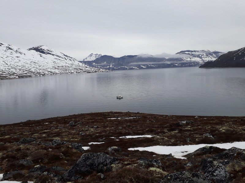 2021-05-29-1116_Maru