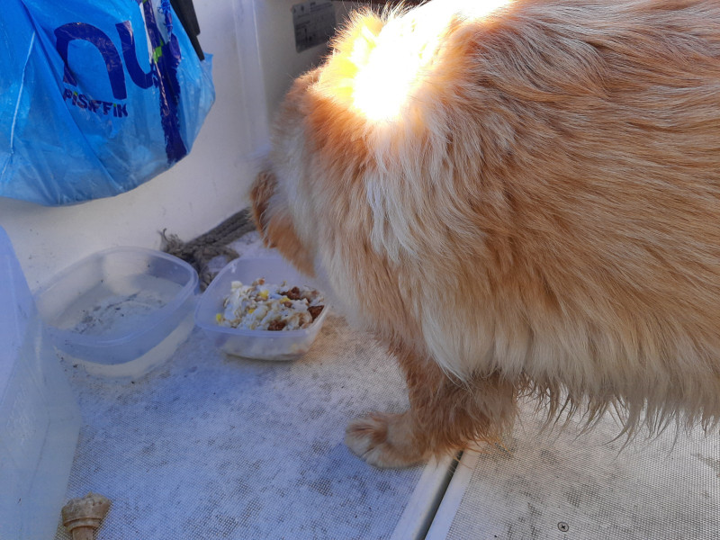 2021-05-29-1757_Emily