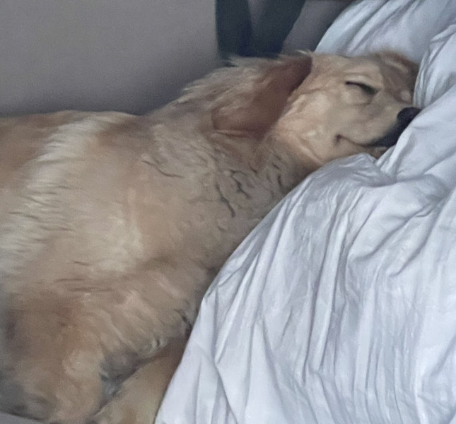 2021-05-29-2317_Emily