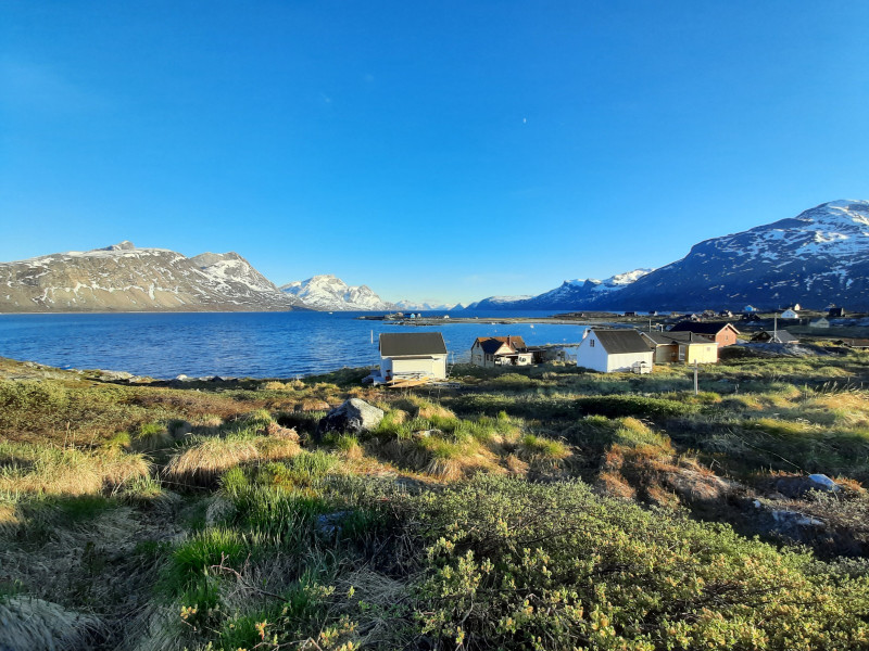 Miniferie inde i Nuuk fjorden. Pause i Qoornoq på vej mod Ujarassuit