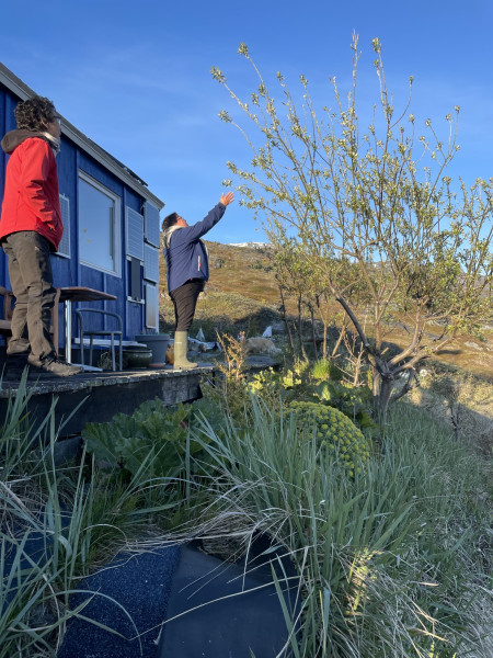 Miniferie inde i Nuuk fjorden. Pause i Qoornoq på vej mod Ujarassuit. Ari's hytte