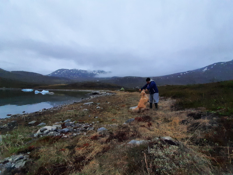 Miniferie inde i Nuuk fjorden