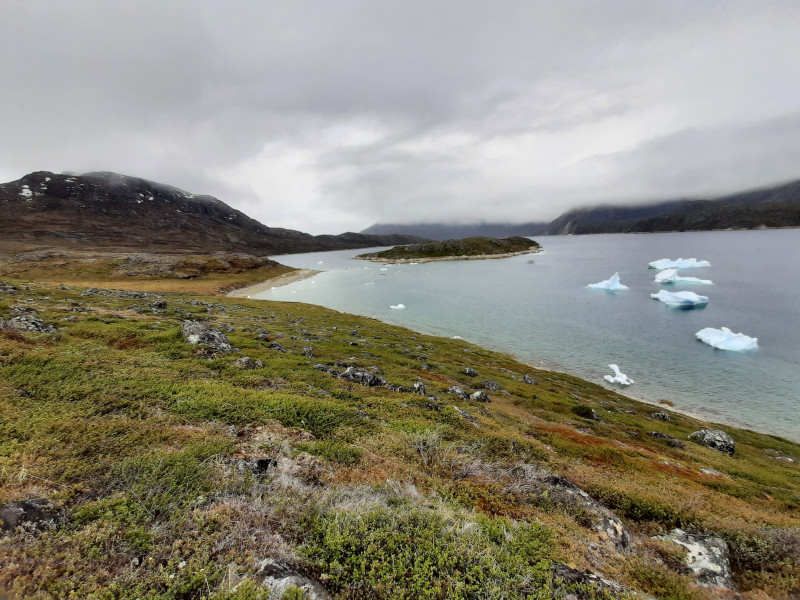 Miniferie inde i Nuuk fjorden