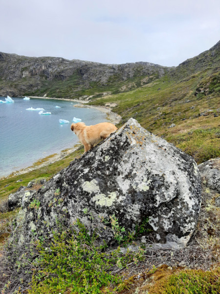 Miniferie inde i Nuuk fjorden