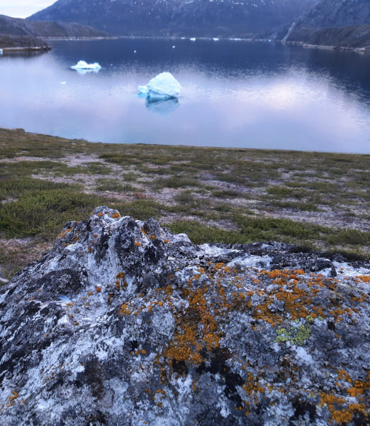 Miniferie inde i Nuuk fjorden
