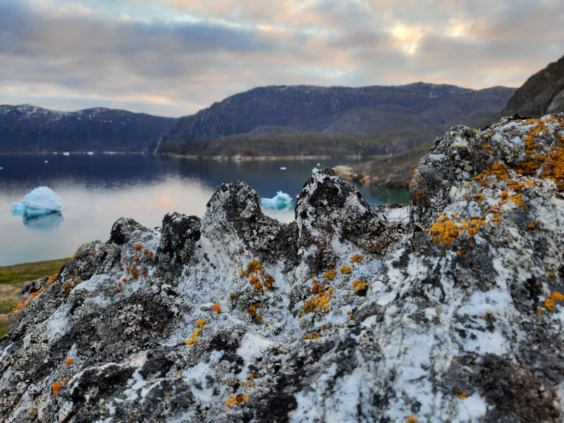 Miniferie inde i Nuuk fjorden