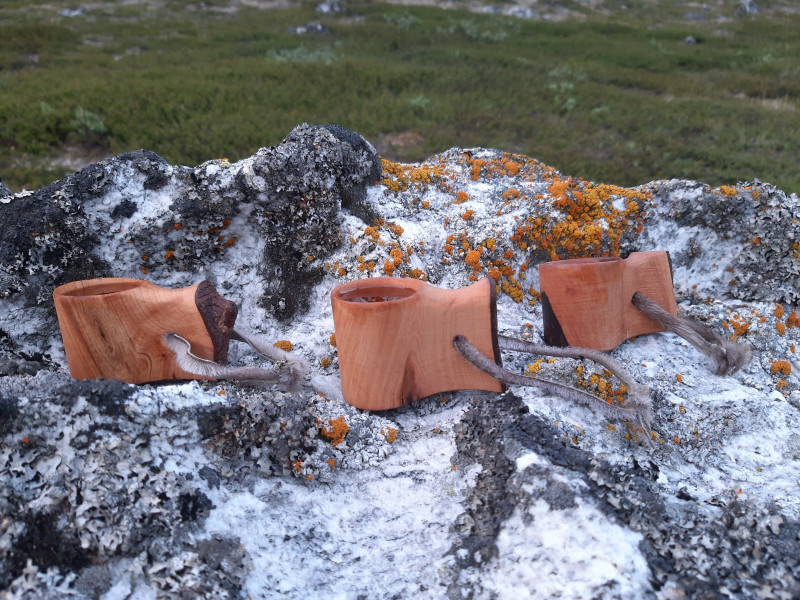 Miniferie inde i Nuuk fjorden. Træsnapseglas på sten i fjeldet.