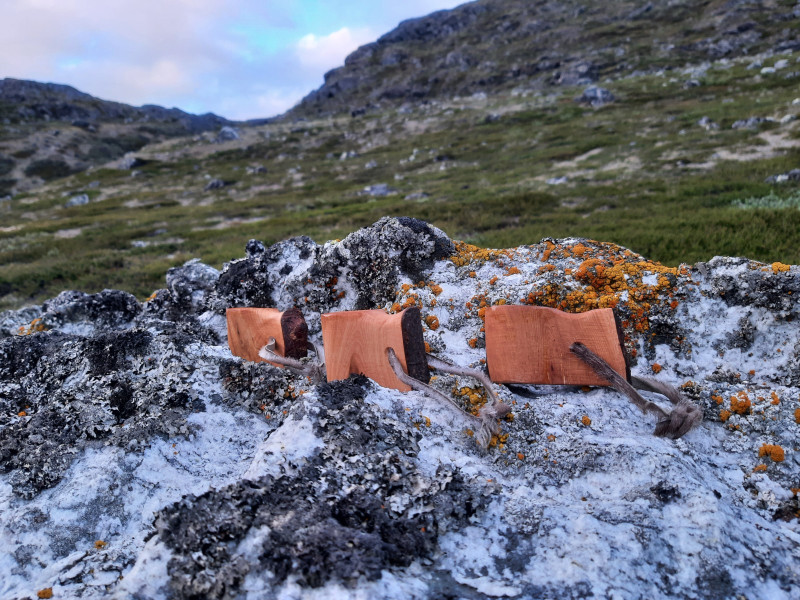 Miniferie inde i Nuuk fjorden. Træsnapseglas på sten i fjeldet.