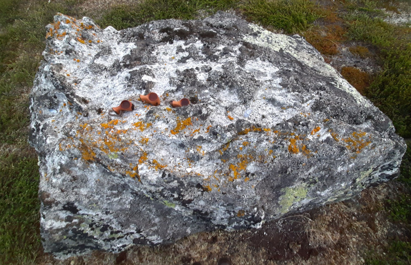 Miniferie inde i Nuuk fjorden. Træsnapseglas på sten i fjeldet.