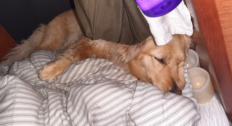 Miniferie inde i Nuuk fjorden