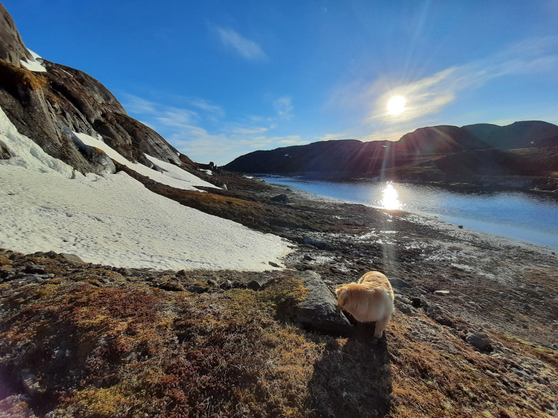 Miniferie inde i Nuuk fjorden. Overnatning i Kanasut