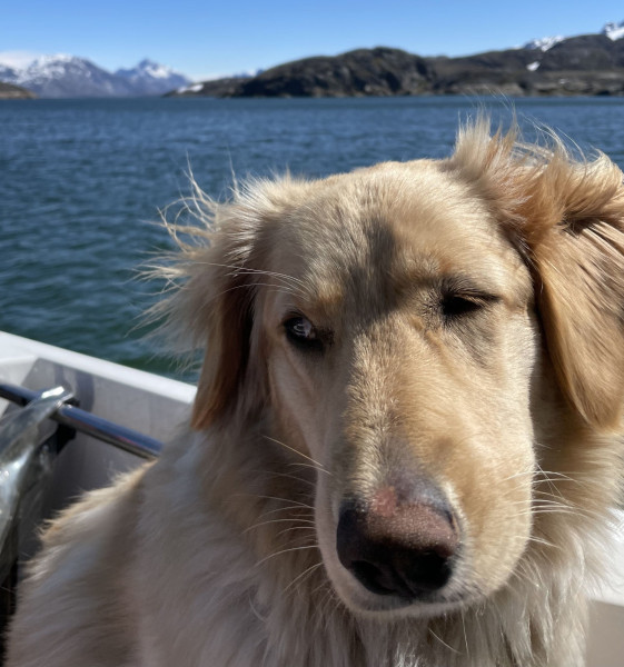 Miniferie inde i Nuuk fjorden