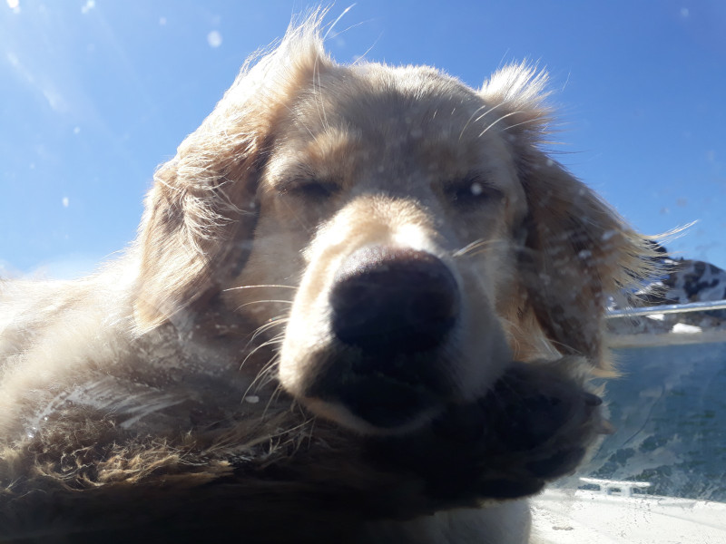 Miniferie inde i Nuuk fjorden