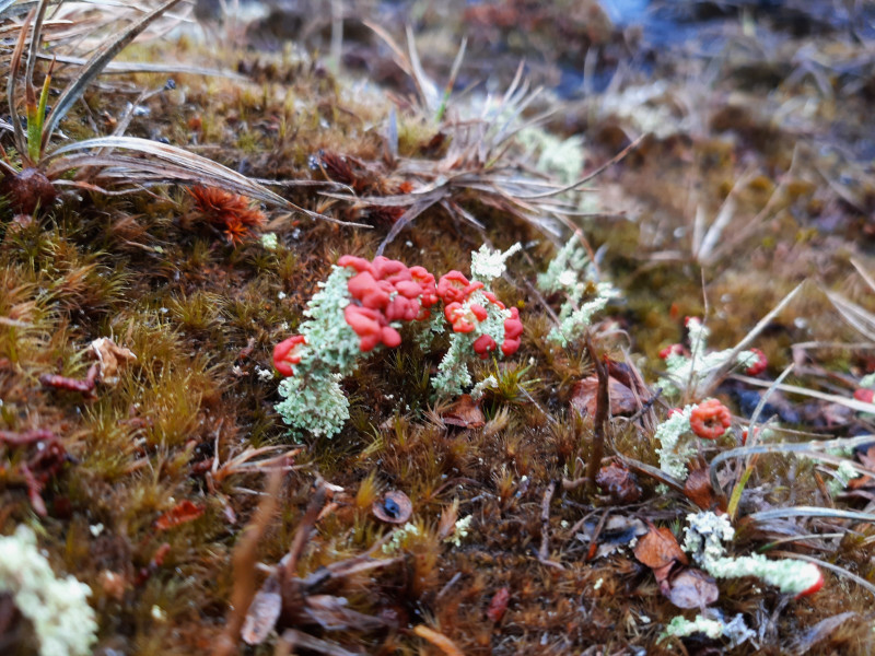 Miniferie i Eqalunnguit på Nordlandet