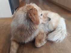 2021-06-23-2019_Emily
