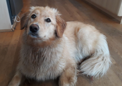 2021-06-23-2019_Emily_2