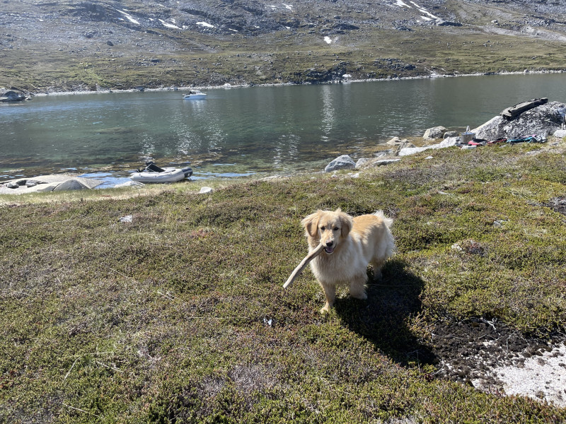 Miniferie i Qarajat Iluat