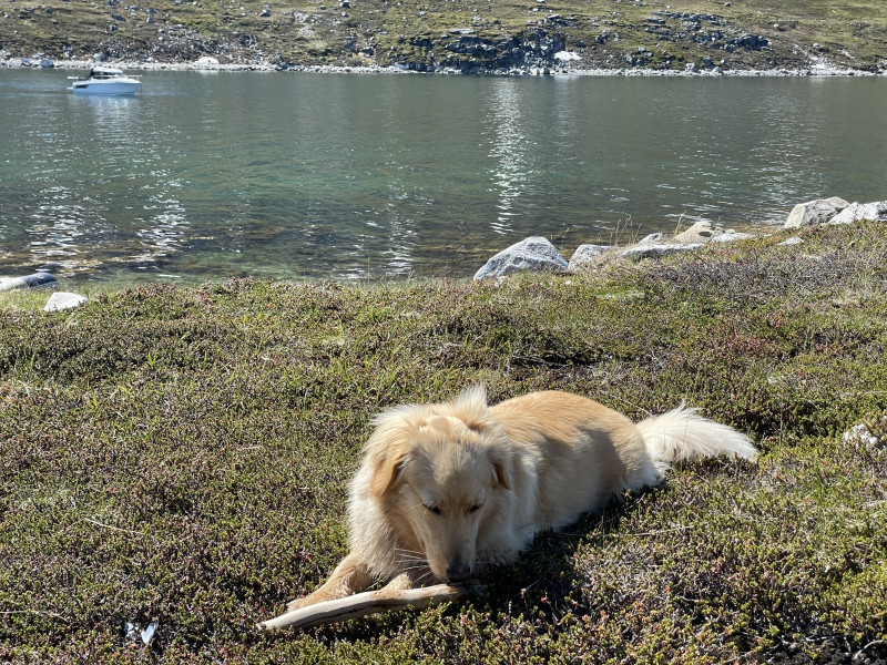 Miniferie i Qarajat Iluat