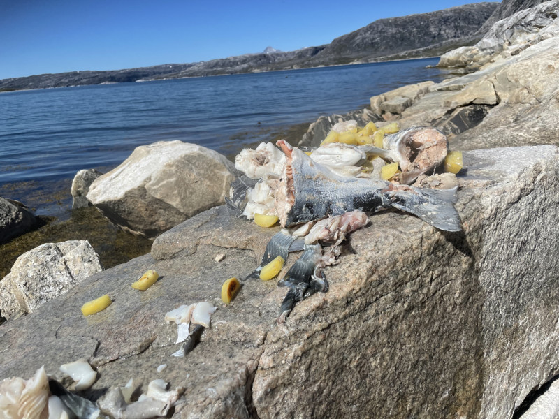 Miniferie i Qarajat Iluat