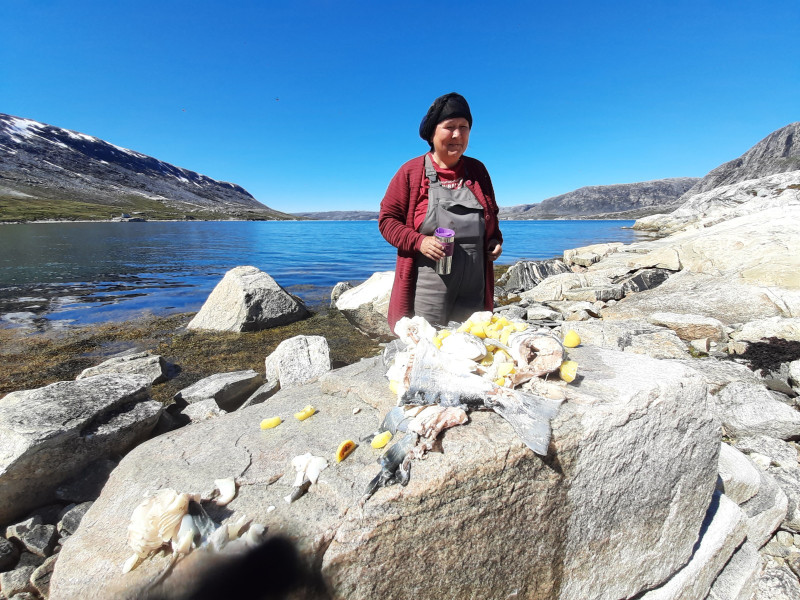 Miniferie i Qarajat Iluat