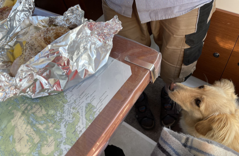 Miniferie i Qarajat Iluat. Kylling grillpakker samles